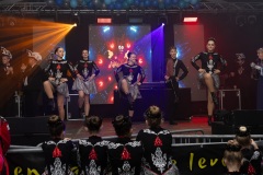 FSF_3035 FSF_3035